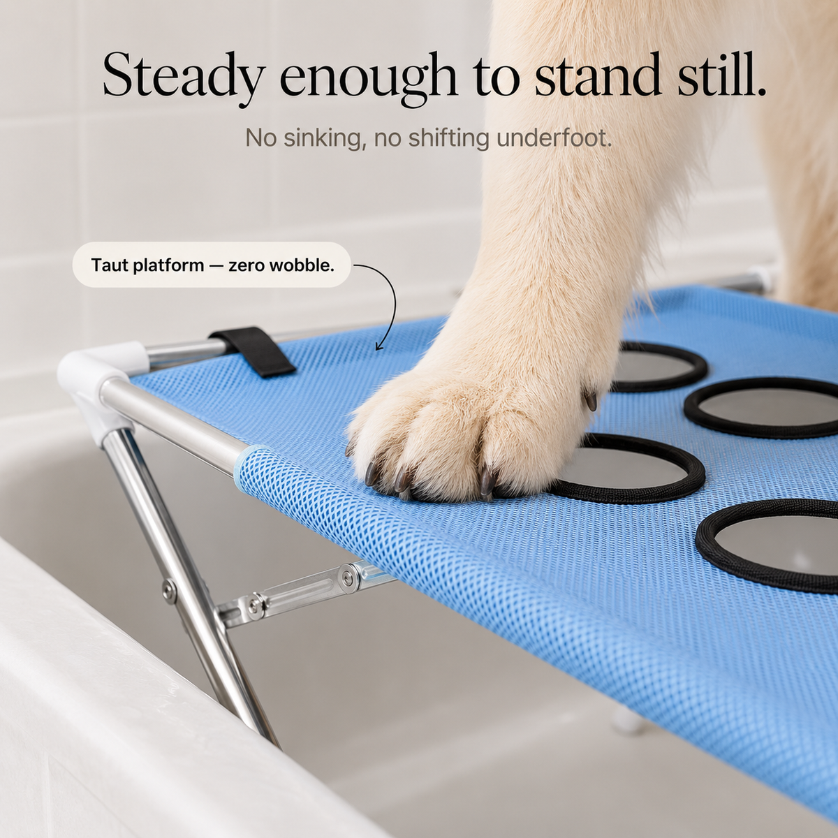 Piattaforma Rialzata Antiscivolo per Bagno Cani in Acciaio Inox