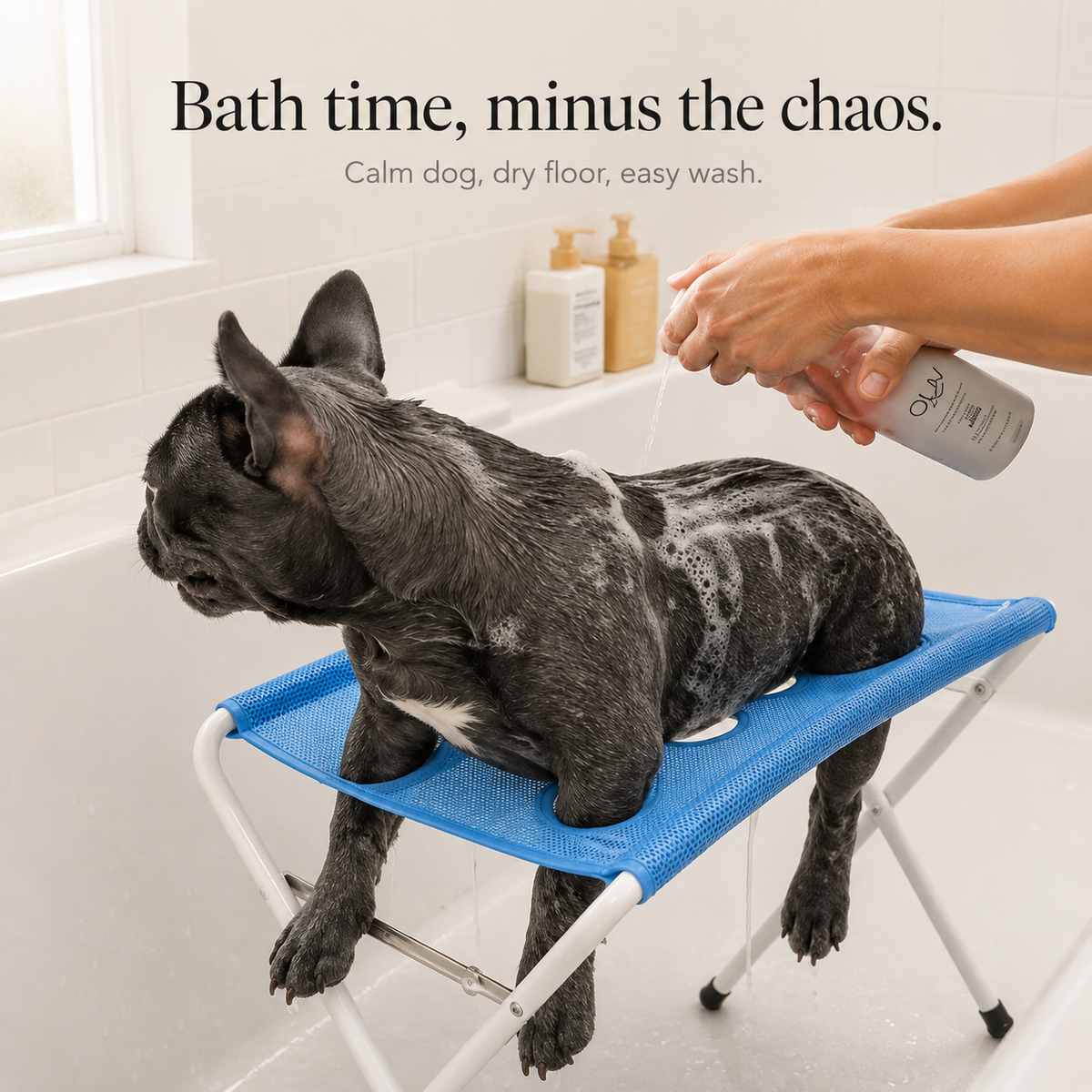 Piattaforma Rialzata Antiscivolo per Bagno Cani in Acciaio Inox